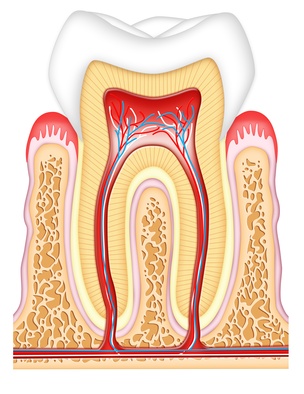 Endodontie bei geschädigtem Zahnnerv